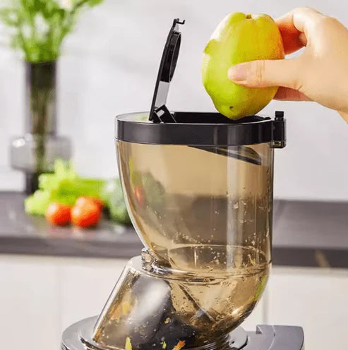 Nutrition Blender (GS-601)